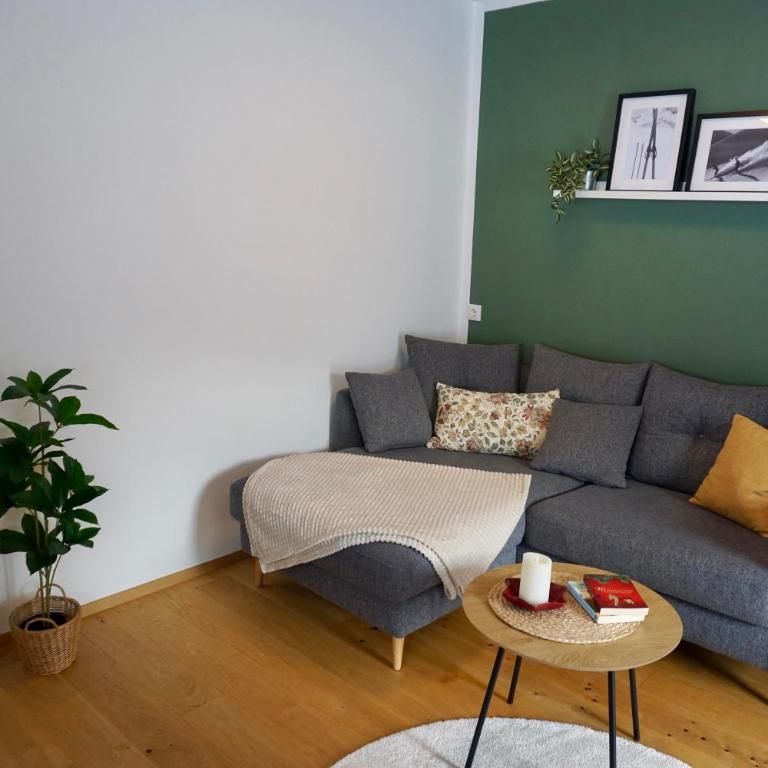 Bergnest Fieberbrunn - Appartamento con 1 Camera da Letto - 10
