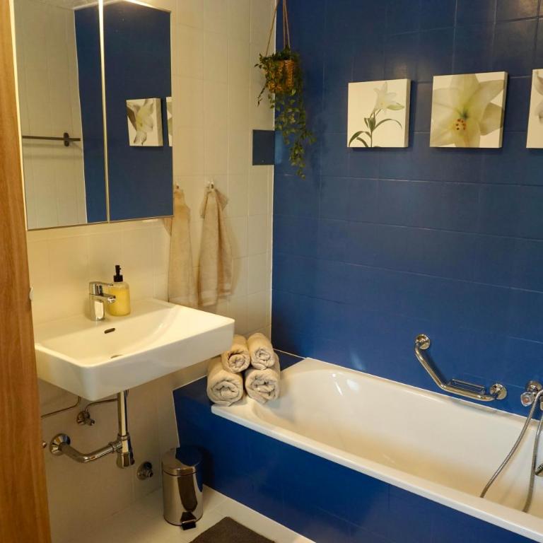 Bergnest Fieberbrunn - Appartamento con 1 Camera da Letto - 16