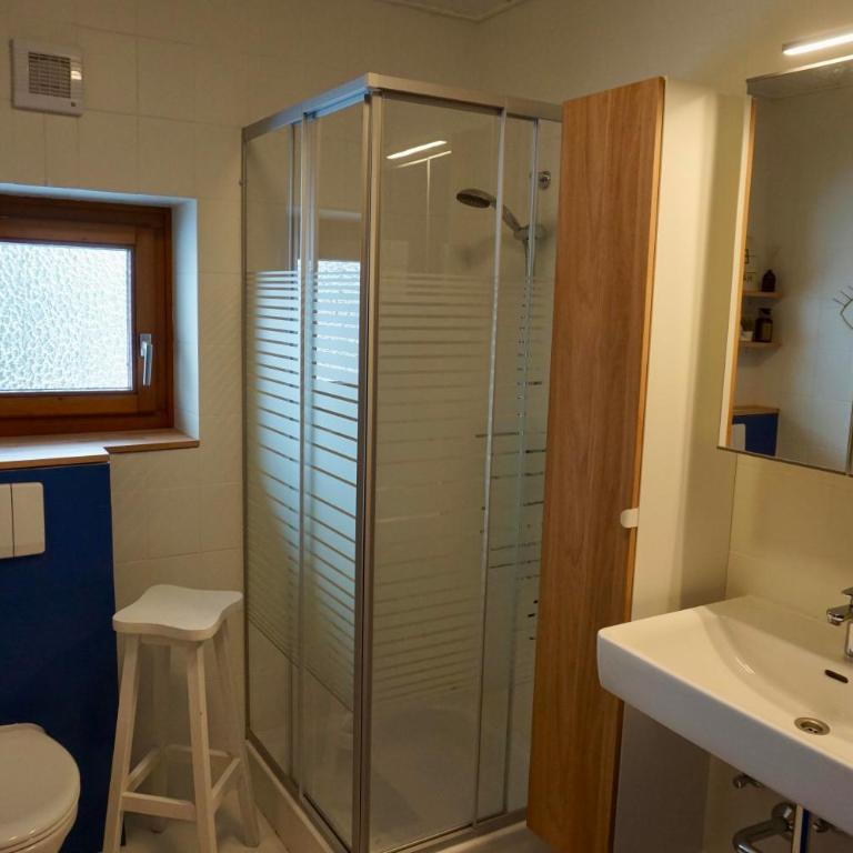Bergnest Fieberbrunn - Appartamento con 1 Camera da Letto - 17