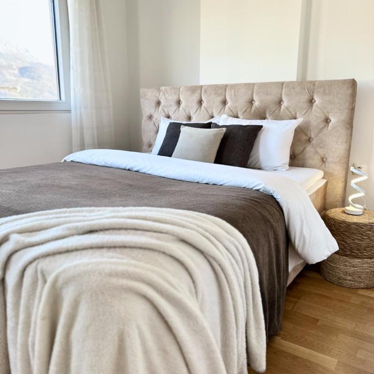 Alula Apartments - One-Bedroom Apartment - 1