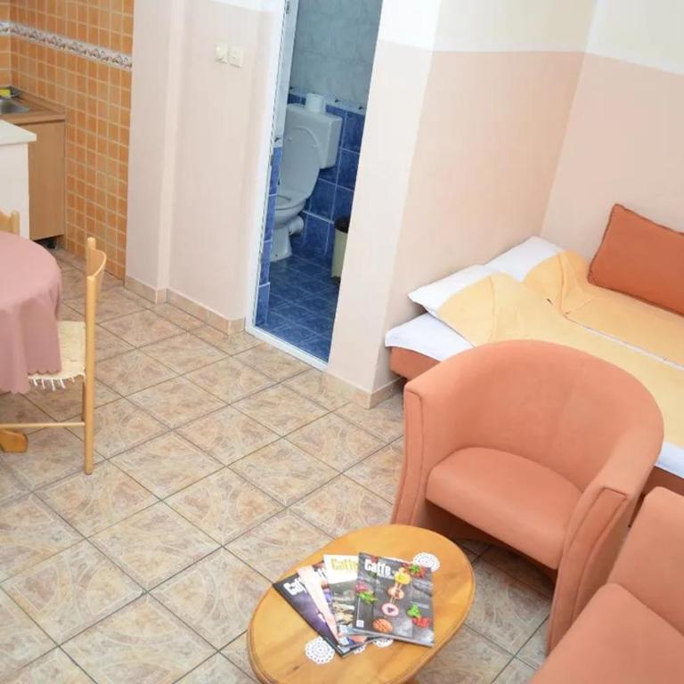 Apartmani Šaltić - Studio s King-sajz Krevetom i Sofom na Izvlačenje - 1