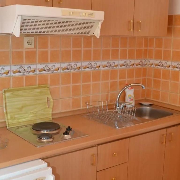 Apartmani Šaltić - Studio s King-sajz Krevetom i Sofom na Izvlačenje - 4
