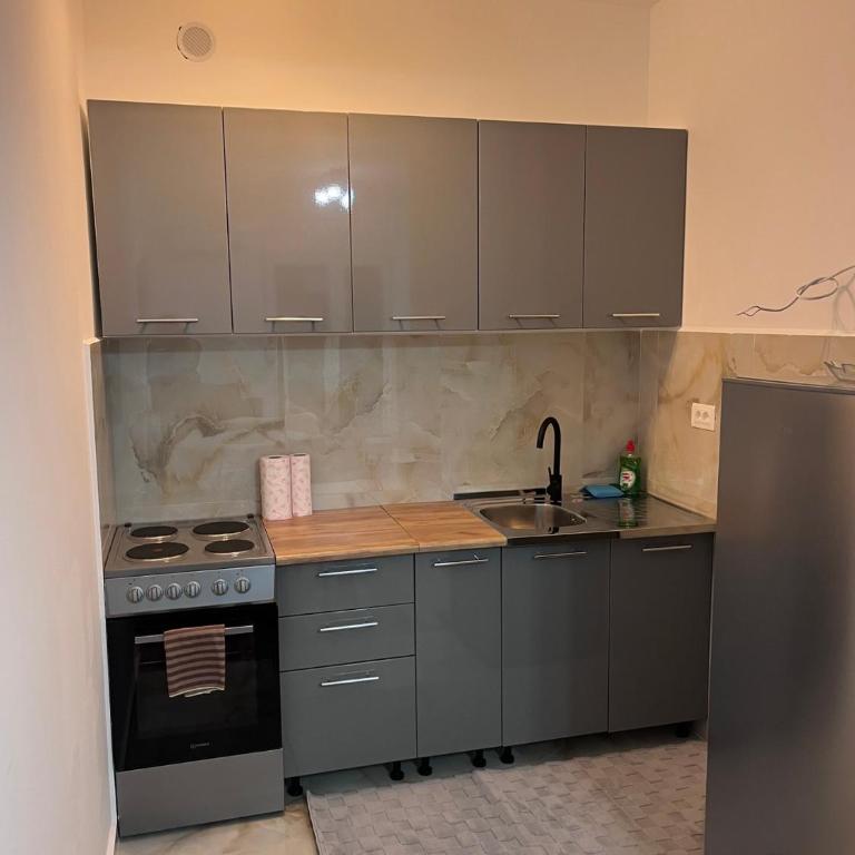 Vodenica apartman sa garažom - Apartman sa 1 Spavaćom Sobom - 15