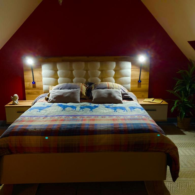 Le petit secret au pied du zoo - One-Bedroom House - 1