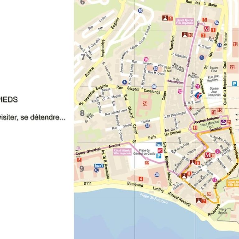 Le Studio du Cardinal Central/ Wifi/ Ajaccio à pieds! - Appartement 1 Chambre - 30