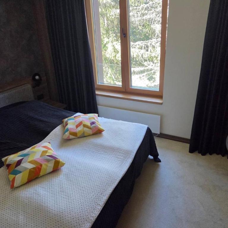 Woodside apartman - One-Bedroom Apartment - 5