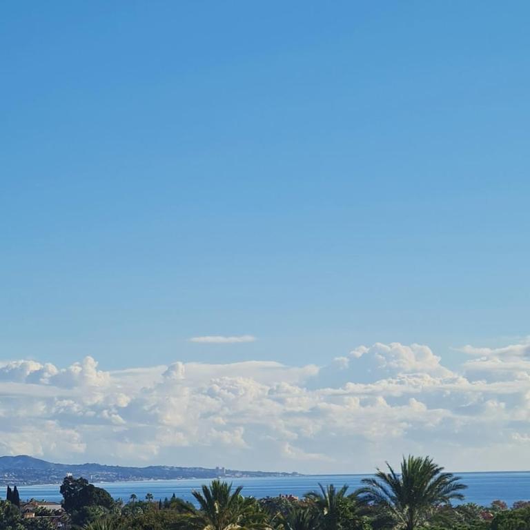 Puerto Banus Marbella stor lyxig duplex med garageplats - Apartamento - 2