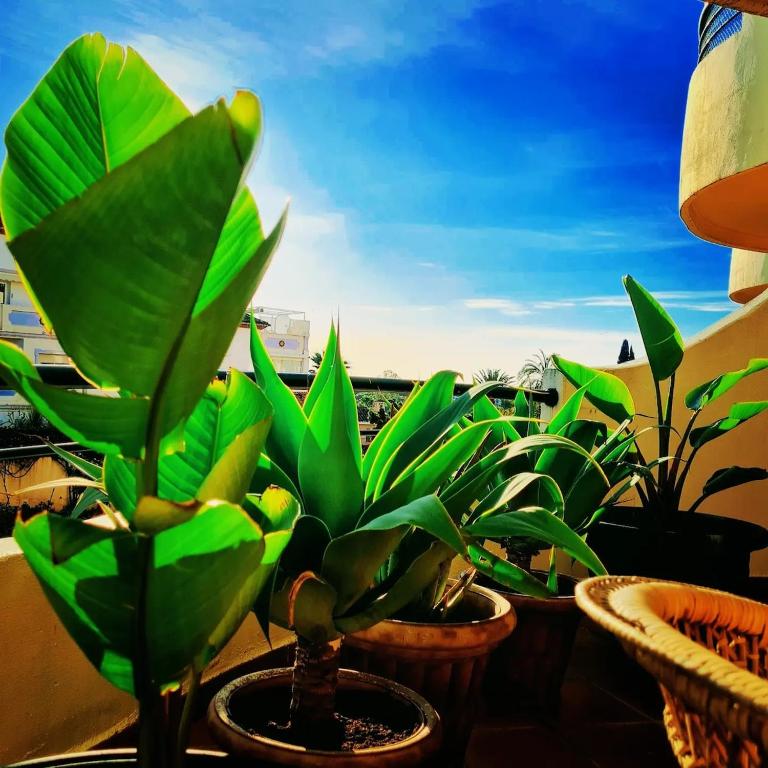 Puerto Banus Marbella stor lyxig duplex med garageplats - Apartamento - 58