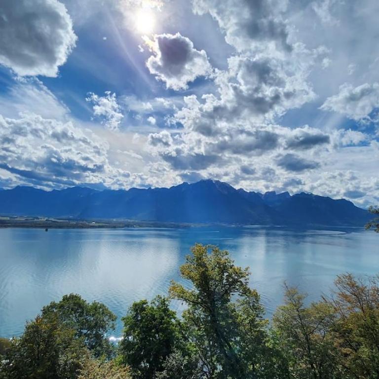 Architect house with gorgeous view lake & Wildlife - Villa - 19