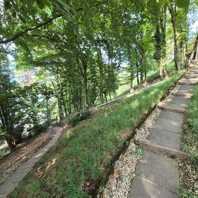 Architect house with gorgeous view lake & Wildlife - Villa - 36