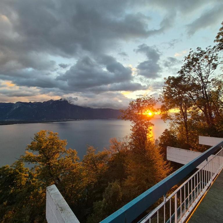 Architect house with gorgeous view lake & Wildlife - Villa - 21