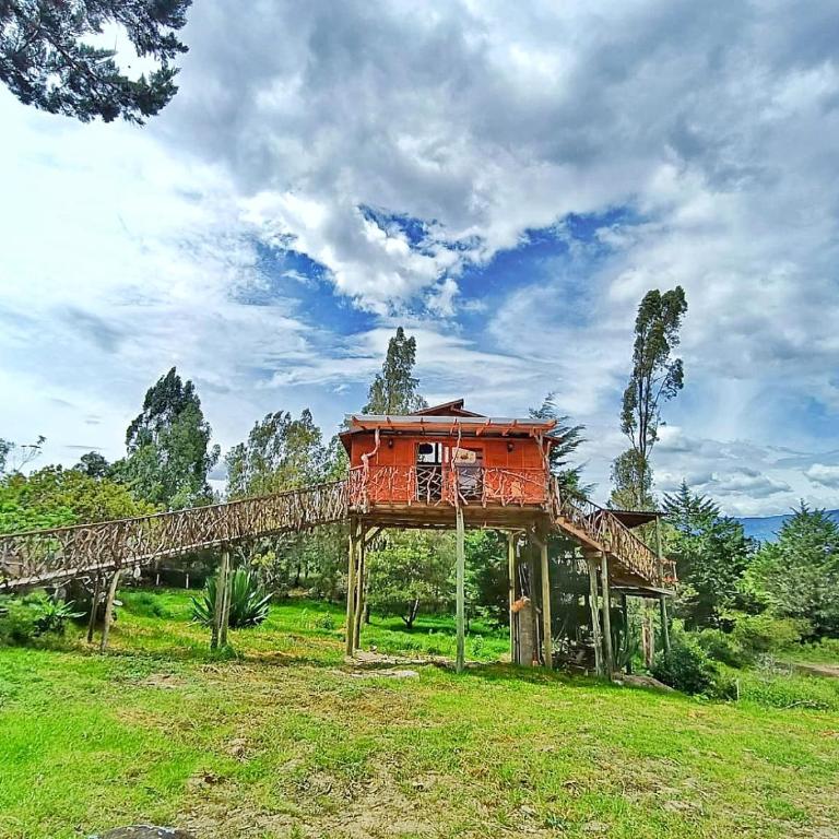 Glamping Entre Nubes Amatista Villa de Leyva - Deluxe Bungalow with Garden View - 17
