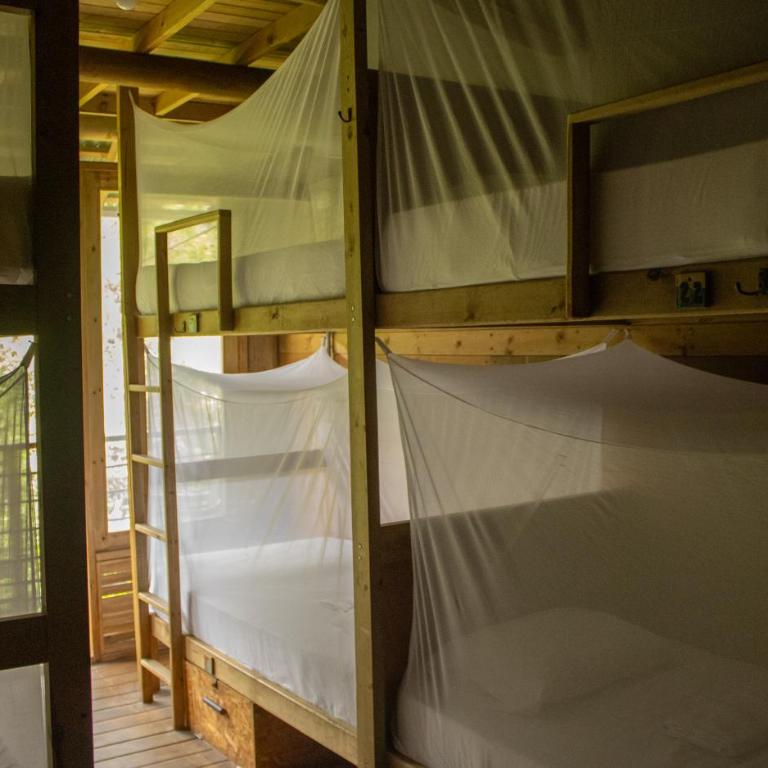 Mendihuaca Surf Camp - Cama Individual en dormitorio compartido de 6 camas - 12