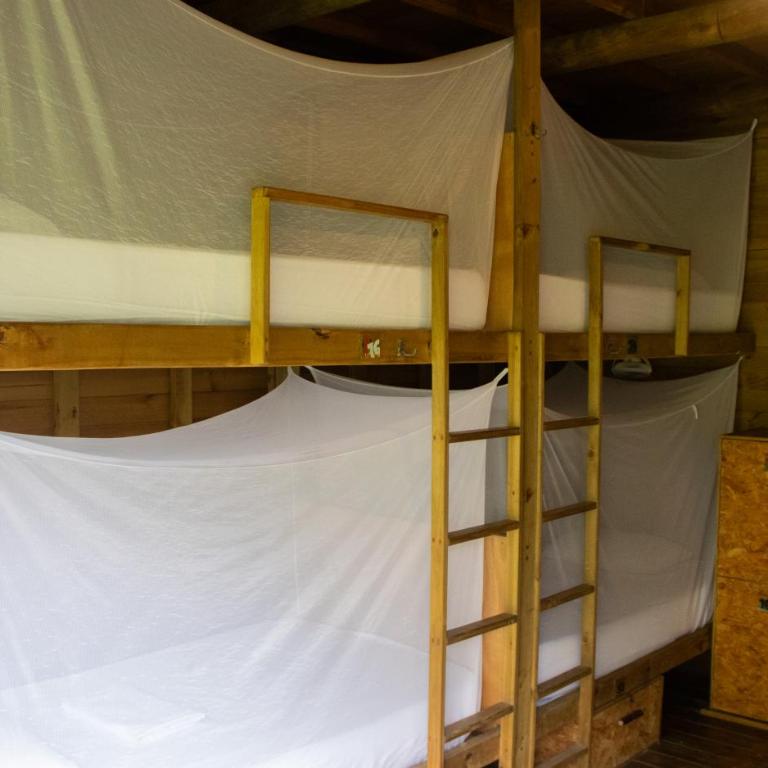 Mendihuaca Surf Camp - Cama Individual en dormitorio compartido de 6 camas - 14