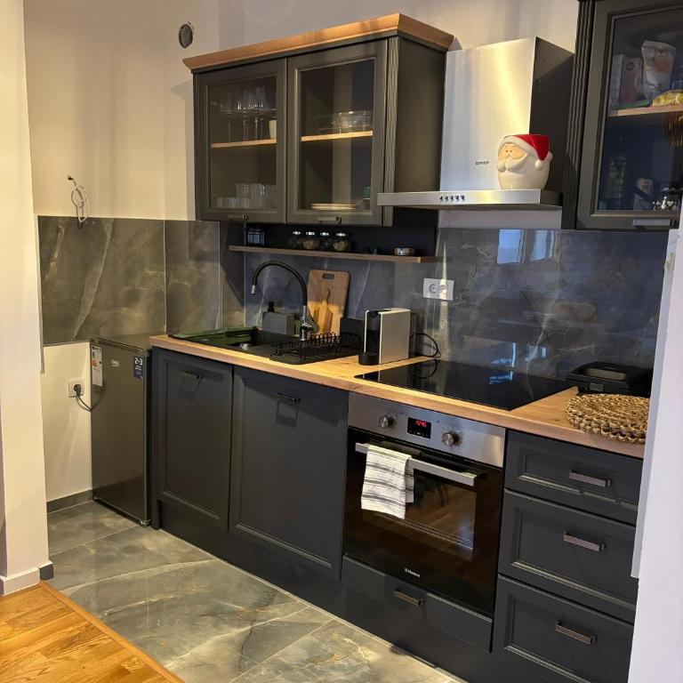 ThermaSpa Apartment Zlatibor - One-Bedroom Apartment - 5
