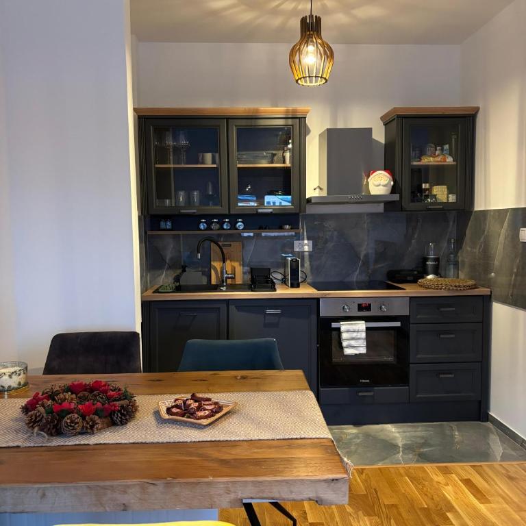ThermaSpa Apartment Zlatibor - One-Bedroom Apartment - 4