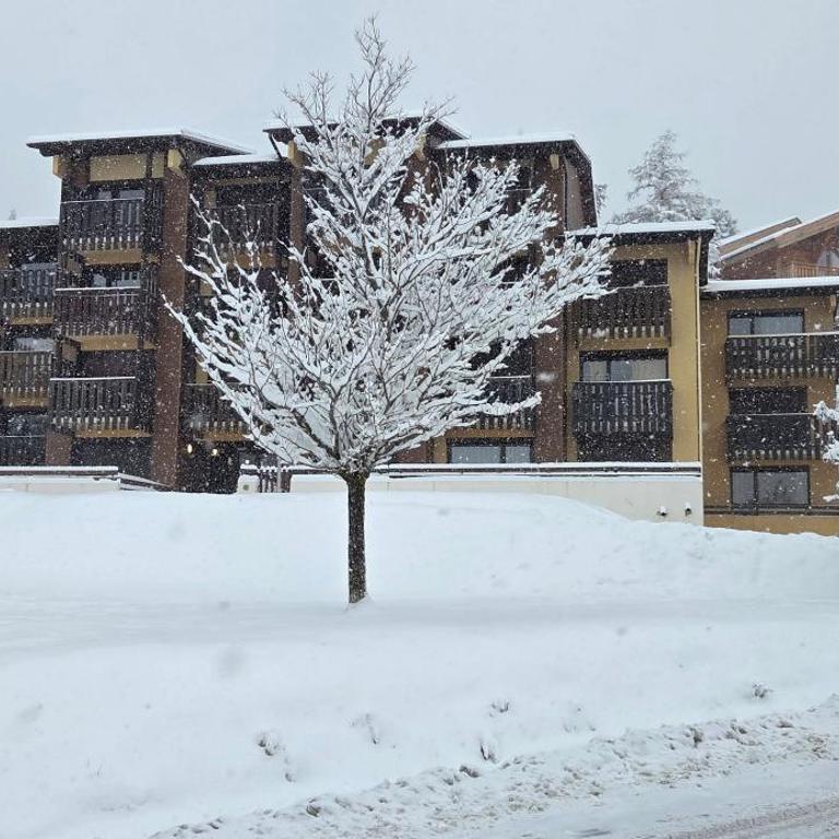 Font-Romeu Studio Cabine RDC avec Balcon ensoleillé & Garage privé - Studio avec Balcon - 2