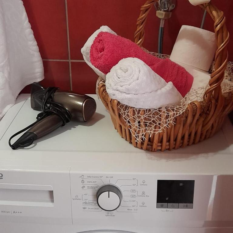 Apartmani Marković - Apartman s 1 Spavaćom Sobom i Balkonom - 8