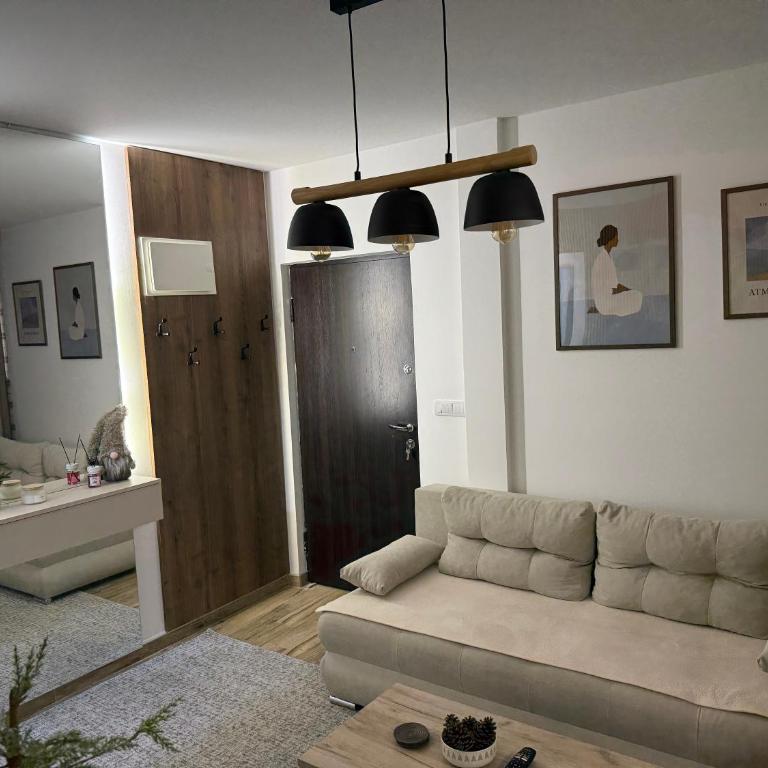 Gencian Resort KOPAONIK - Deluxe Studio - 5