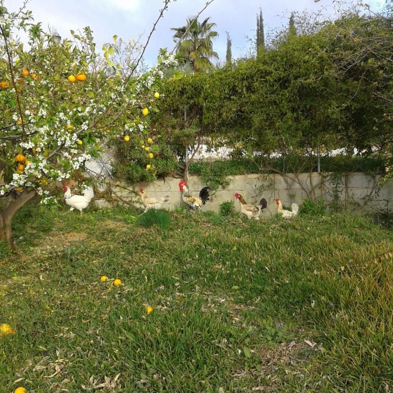 Casa Arroyo Precioso - Casa de 4 dormitorios - 23