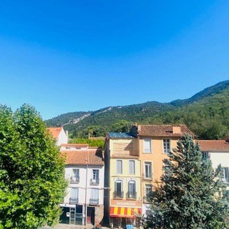 Studio confortable avec climatisation à Amélie-les-Bains, proche des thermes - Studio - 10