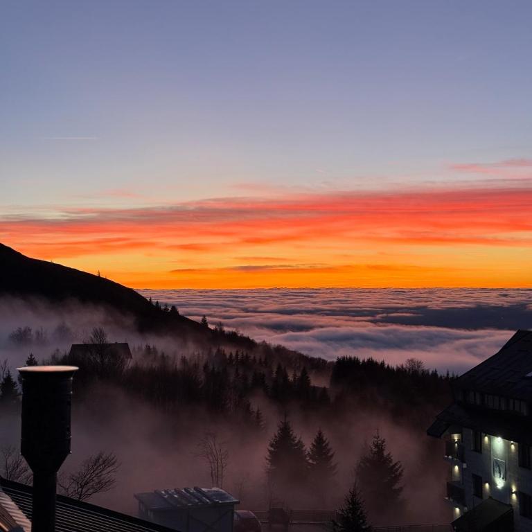 Gencian Resort KOPAONIK - Studio - 3