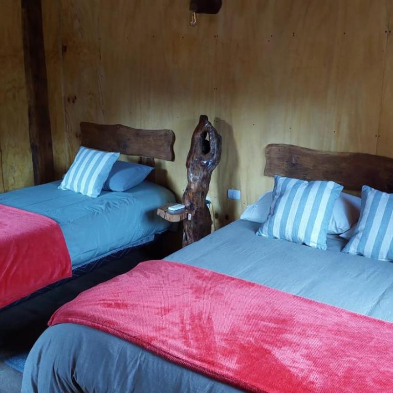 Cabañas & Habitaciones Del Alto - Habitación Triple con baño privado - 15