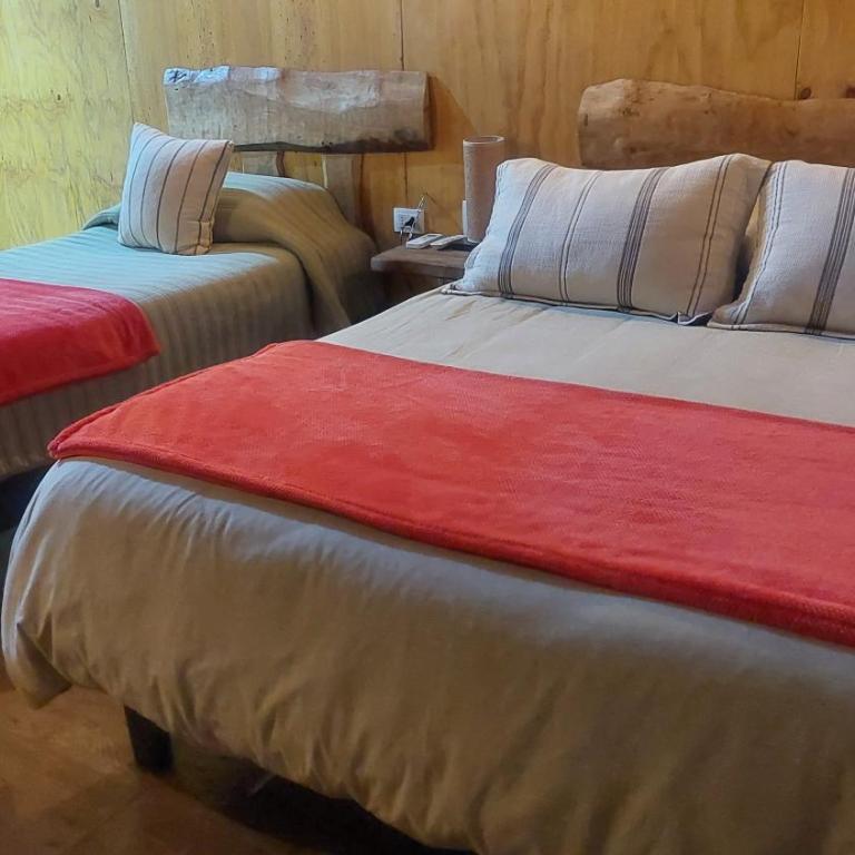 Cabañas & Habitaciones Del Alto - Habitación Doble con baño privado - 2 camas - 11