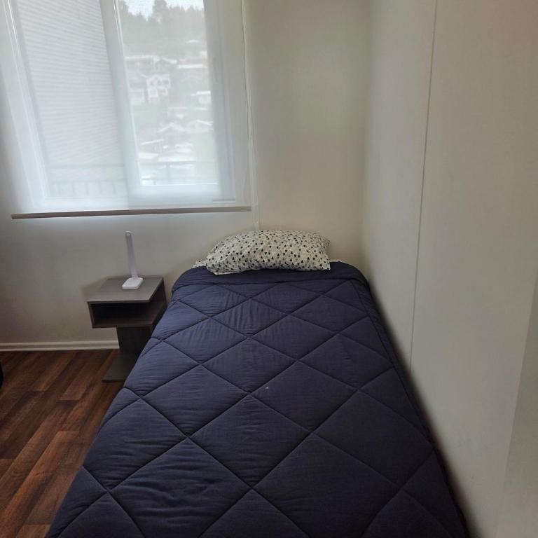 Urban apartment with a view of the lake and the volcano - Apartamento de 3 dormitorios - 4