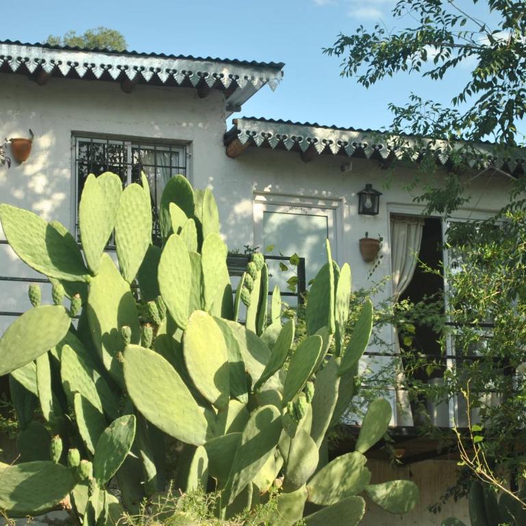 Cabaña "Bienestar" vista a las sierras, cerca del rio en La Serranita - One-Bedroom Apartment - 5