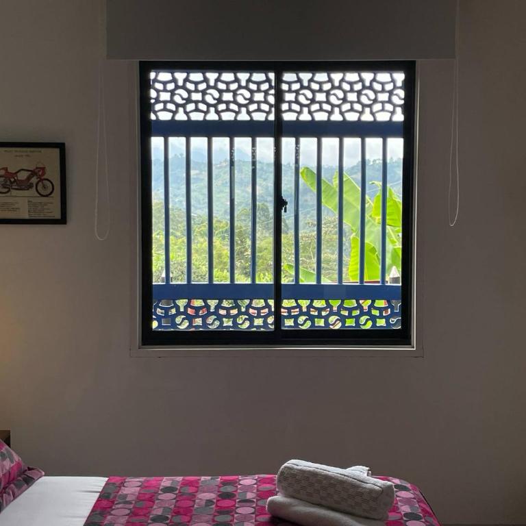 CASA AZUL LA GARRUCHA Transporte, Tours y Más - Budget Double Room - 7