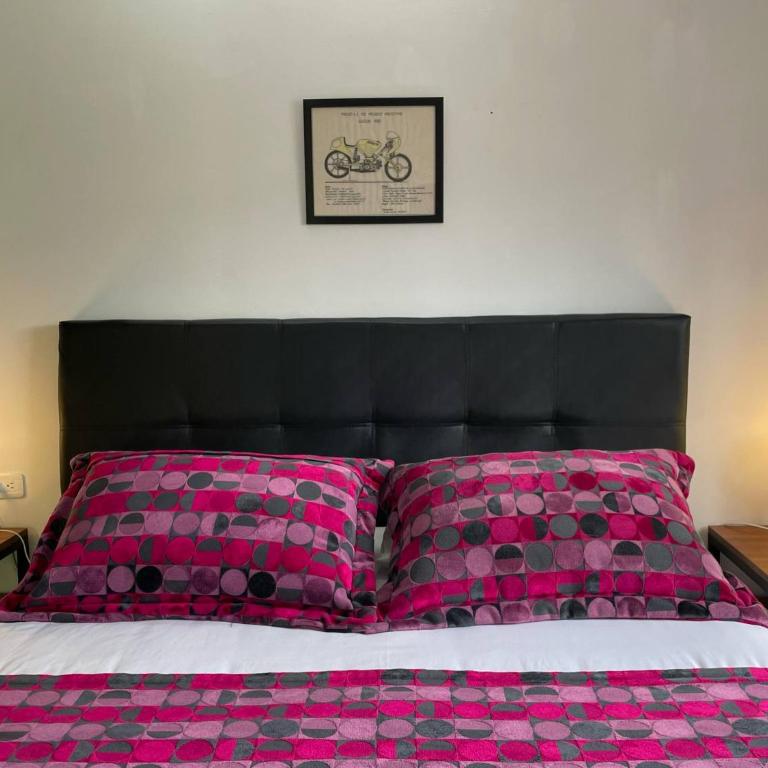 CASA AZUL LA GARRUCHA Transporte, Tours y Más - Budget Double Room - 5
