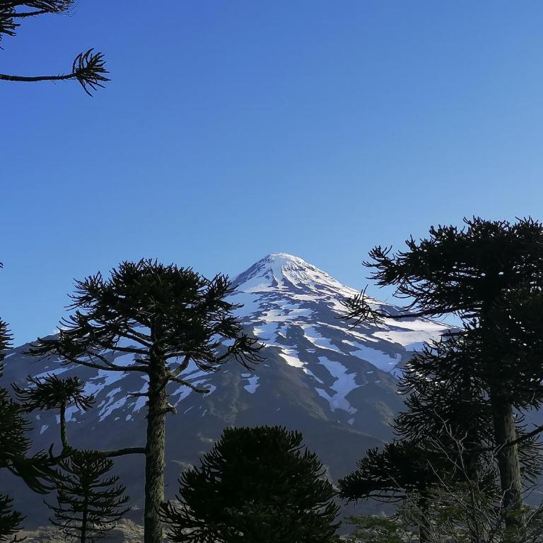 Cabaña Pocolpen - Two-Bedroom Chalet - 12
