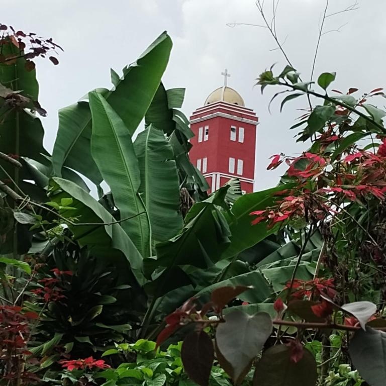 Koniminto - Twin Room with Private Bathroom - 11