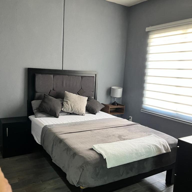 Departamento Ecoface Vallarta - Apartamento de 2 dormitorios - 14