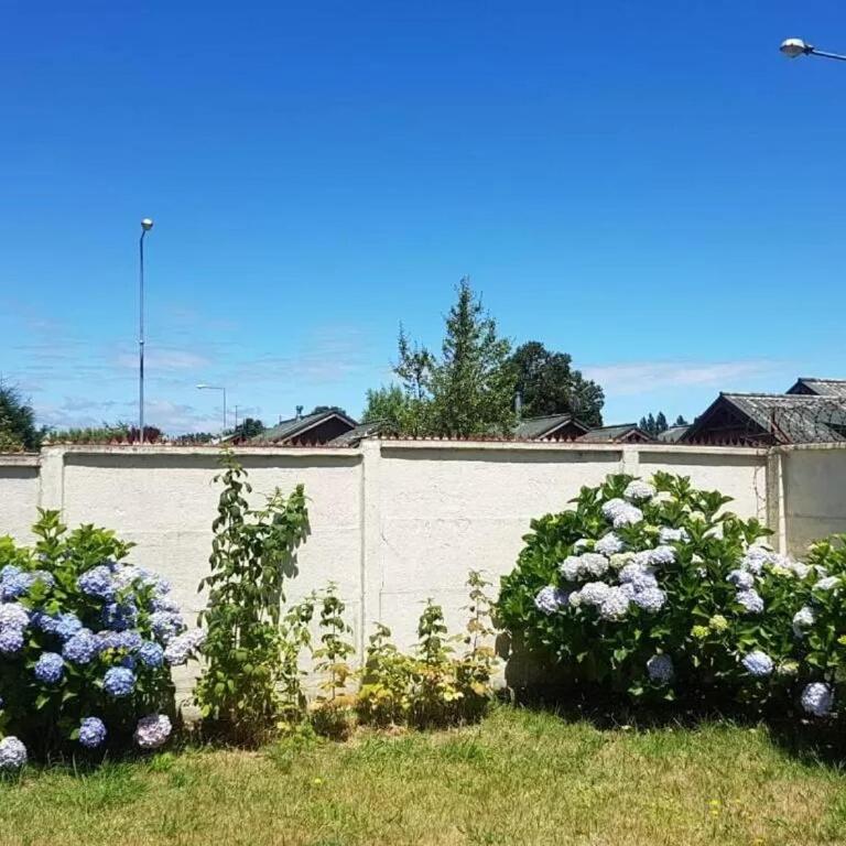 Los Castaños Pucón - Casa de 3 dormitorios - 5