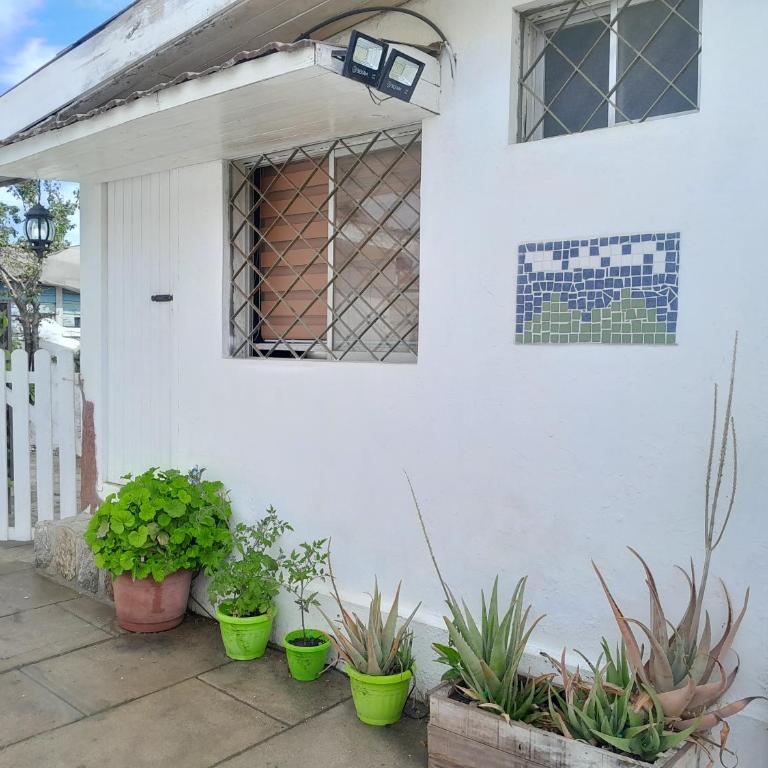 Las Cruces, Sector Playa Chica - One-Bedroom Apartment - 3