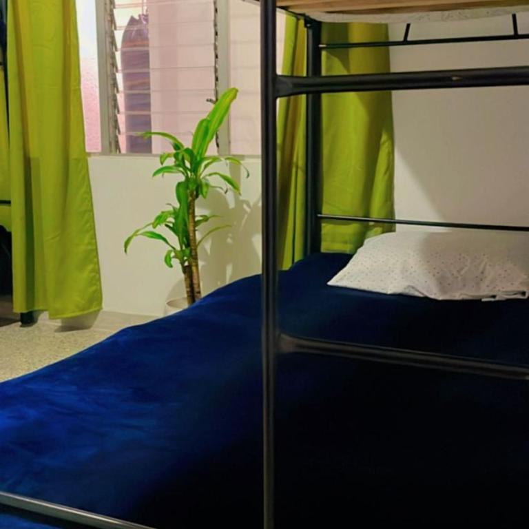 Hostal Abba - Bed in Male Dormitory Room - 1