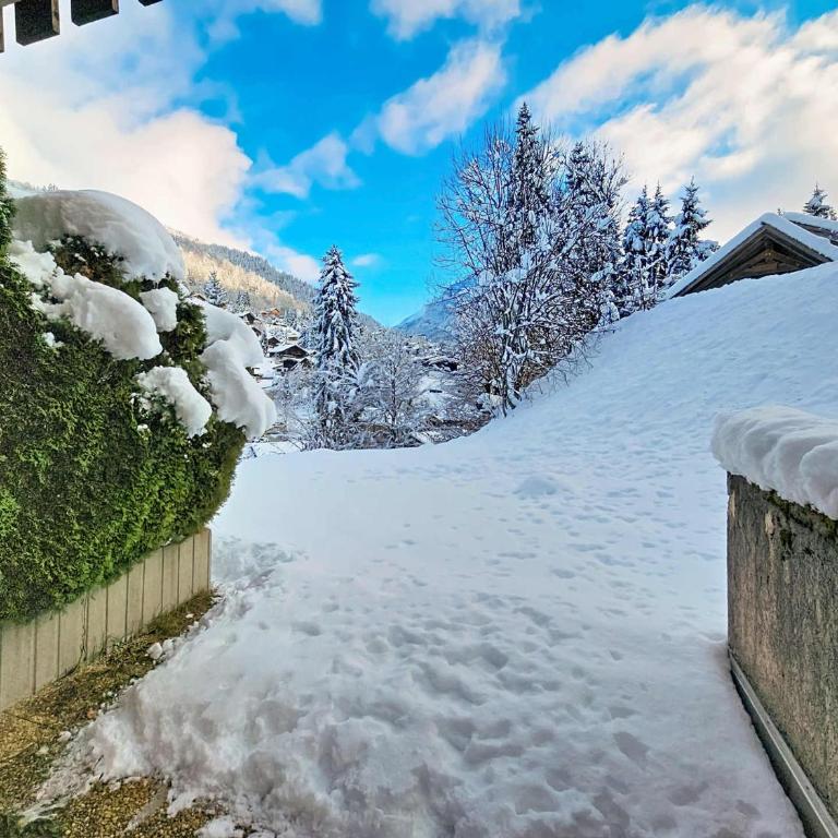 Appartement La Clusaz - 4/6 pers, Animaux bienvenus, Parking, RDC - FR-1-818-114 - Apartamento - 9