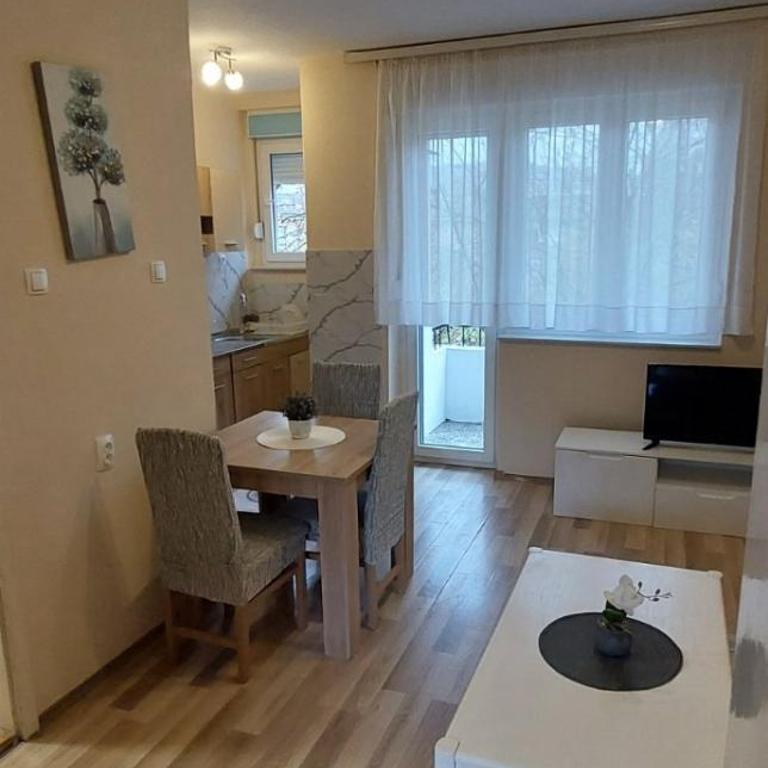 Apartment Goga - One-Bedroom Apartment - 2