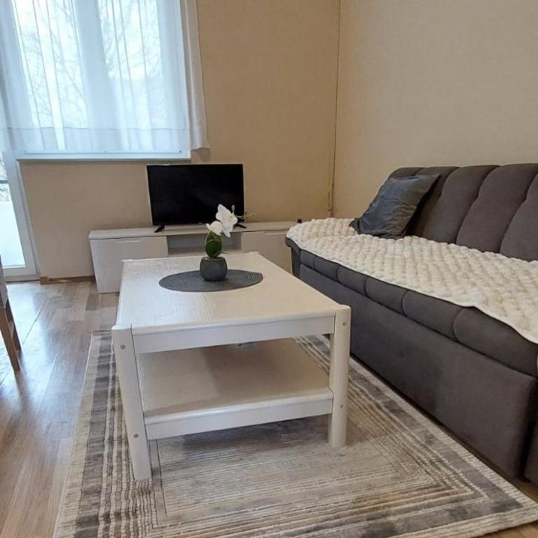 Apartment Goga - One-Bedroom Apartment - 11