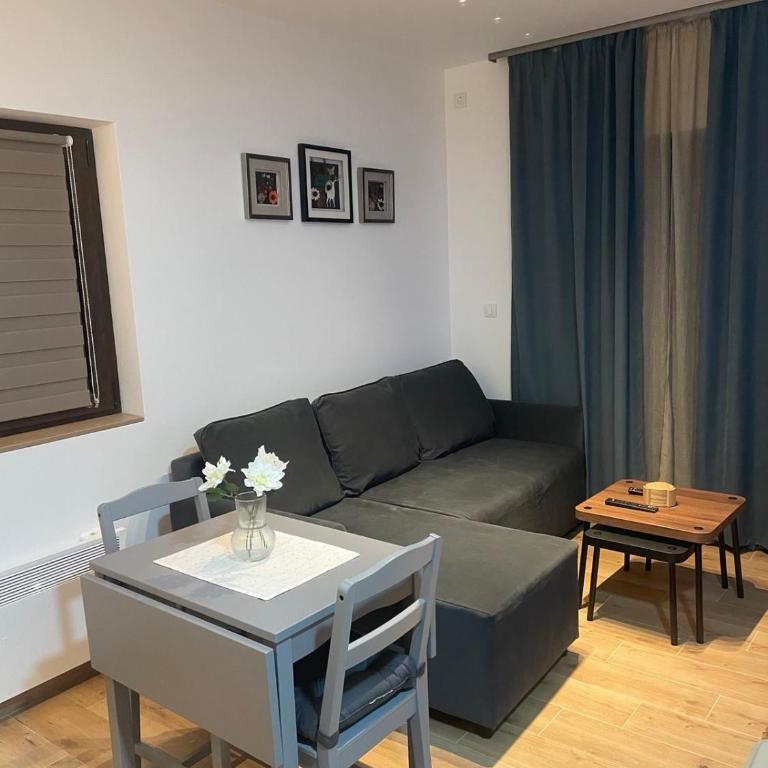 Bela breza - Apartman sa 1 Spavaćom Sobom - 1