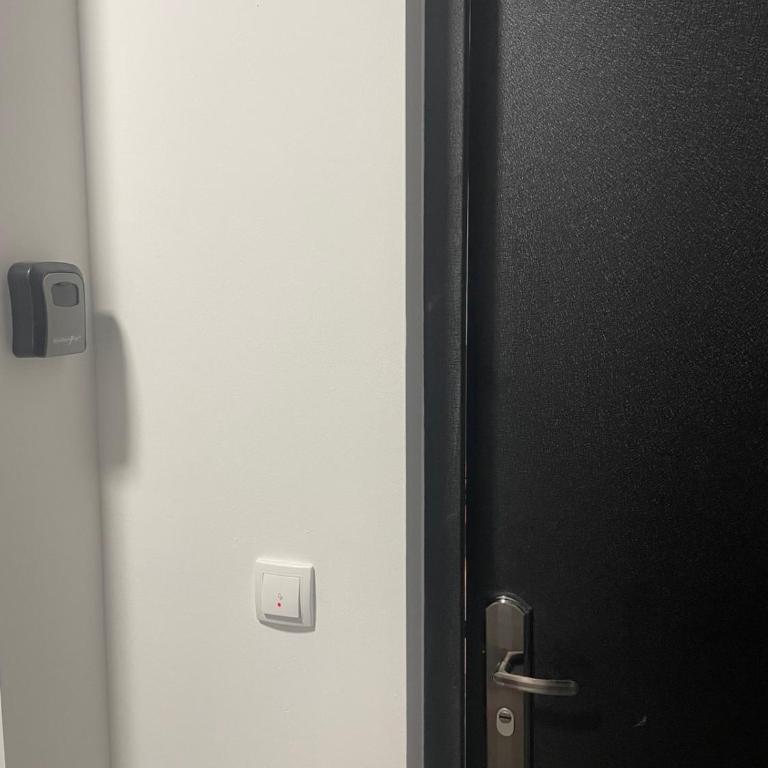 Bela breza - Apartman sa 1 Spavaćom Sobom - 6