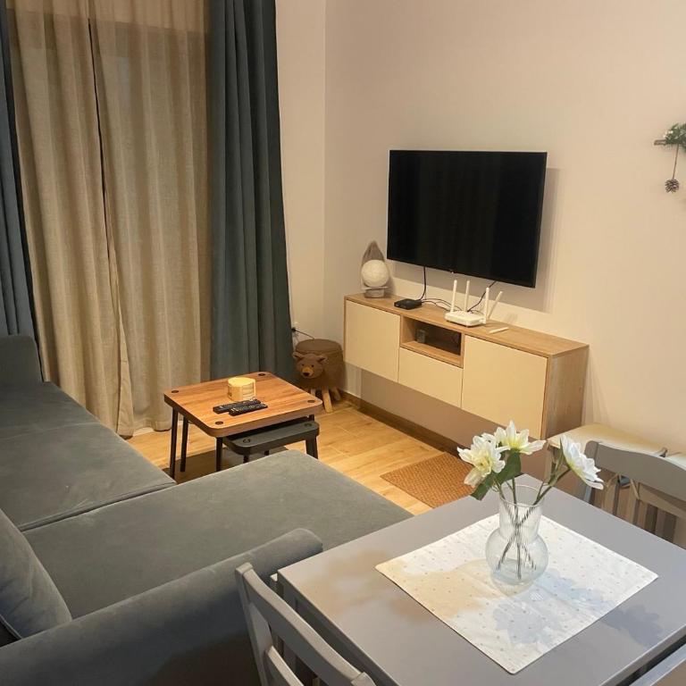 Bela breza - Apartman sa 1 Spavaćom Sobom - 7