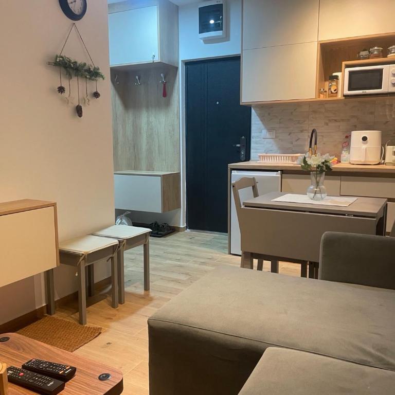 Bela breza - Apartman sa 1 Spavaćom Sobom - 9