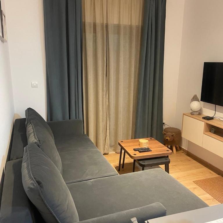 Bela breza - Apartman sa 1 Spavaćom Sobom - 25
