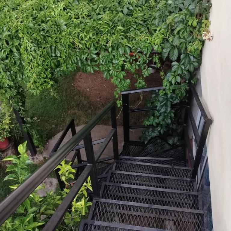 Los horneritos - Apartamento de 1 dormitorio - 2