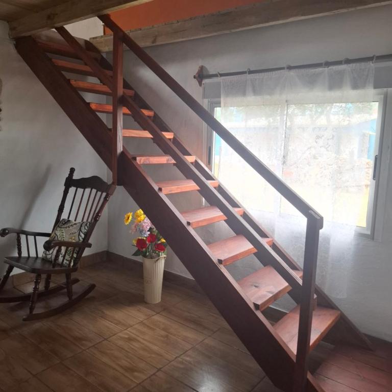 Doña polilla - Casa con 1 dormitorio - 3