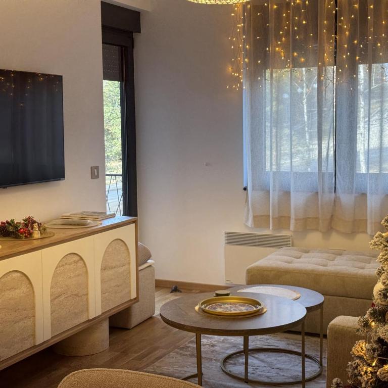 Mountain star - One-Bedroom Apartment - 9