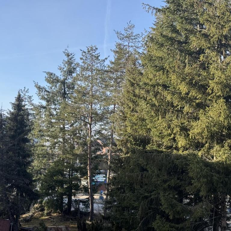 Mountain star - One-Bedroom Apartment - 30